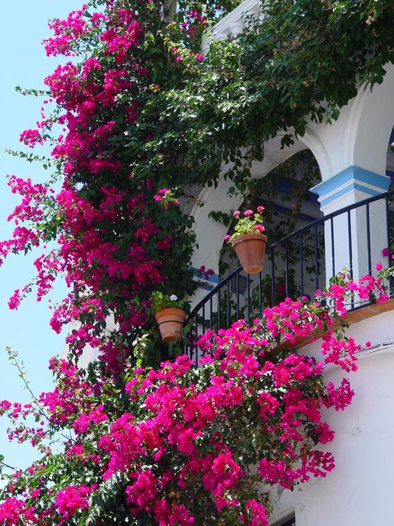 Pierre & Vacances Mojacar Playa מראה חיצוני תמונה